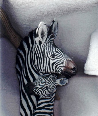 zebrasculpture.jpg